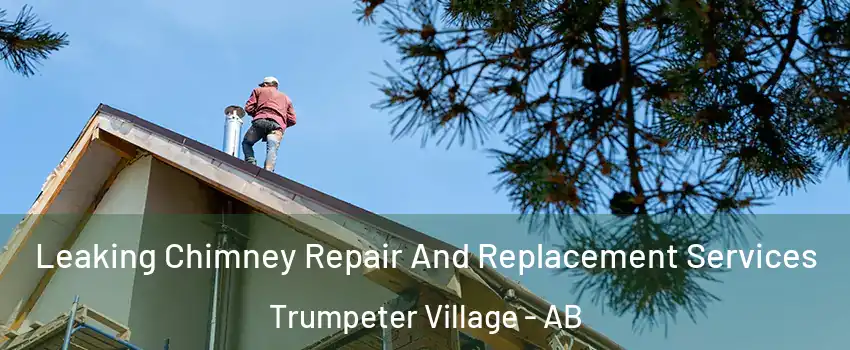  Leaking Chimney Repair And Replacement Services Trumpeter Village - AB