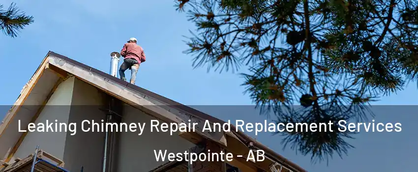  Leaking Chimney Repair And Replacement Services Westpointe - AB
