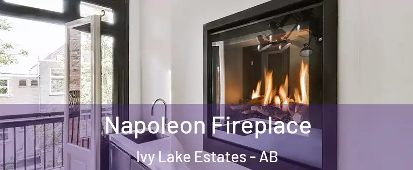  Napoleon Fireplace Ivy Lake Estates - AB