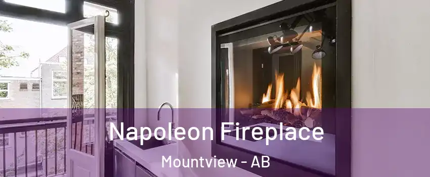  Napoleon Fireplace Mountview - AB