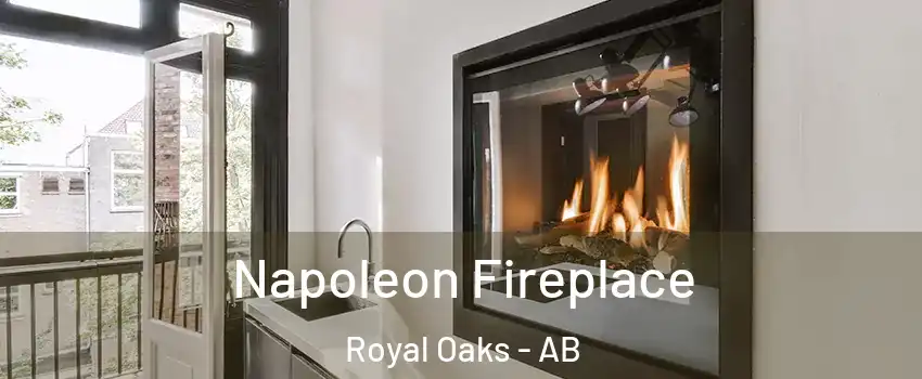  Napoleon Fireplace Royal Oaks - AB