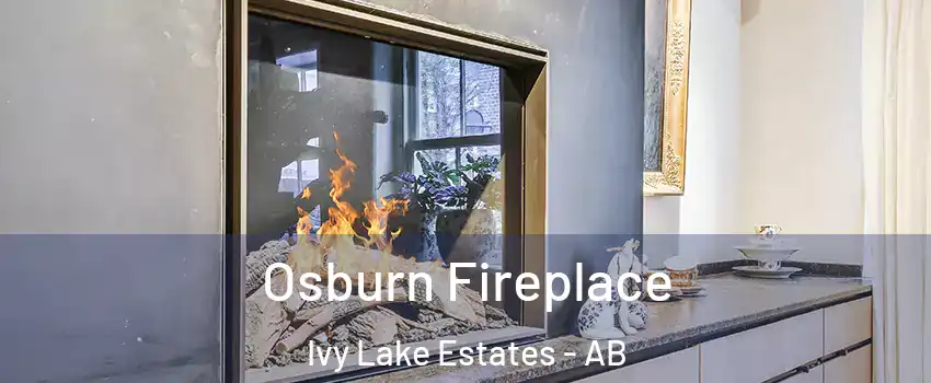  Osburn Fireplace Ivy Lake Estates - AB