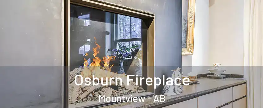 Osburn Fireplace Mountview - AB