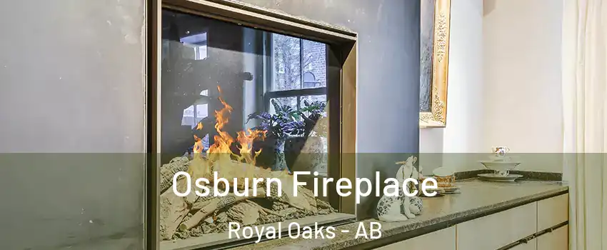  Osburn Fireplace Royal Oaks - AB