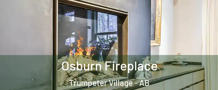  Osburn Fireplace Trumpeter Village - AB