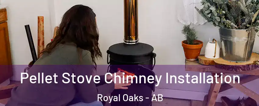  Pellet Stove Chimney Installation Royal Oaks - AB