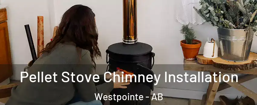  Pellet Stove Chimney Installation Westpointe - AB