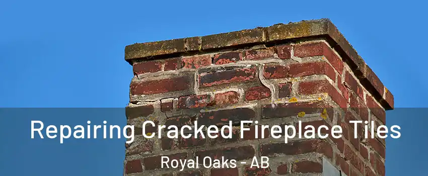  Repairing Cracked Fireplace Tiles Royal Oaks - AB
