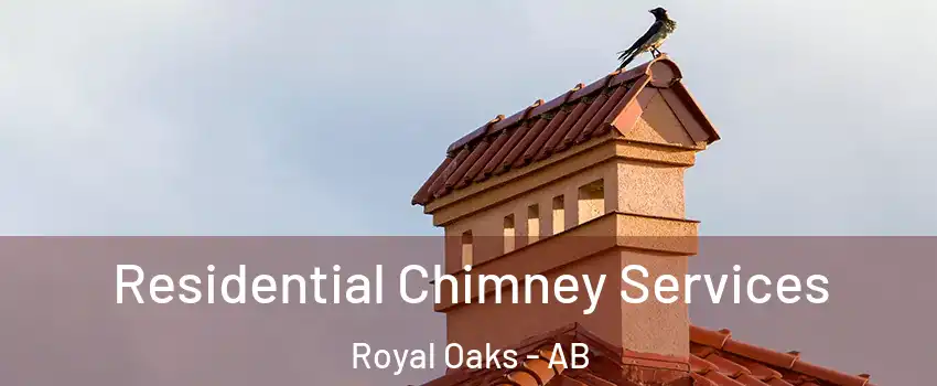  Residential Chimney Services Royal Oaks - AB