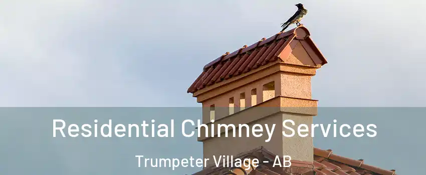 Residential Chimney Services Trumpeter Village - AB