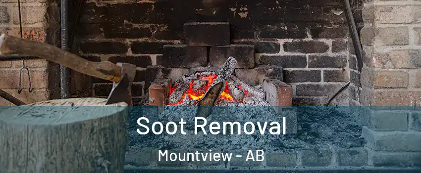  Soot Removal Mountview - AB