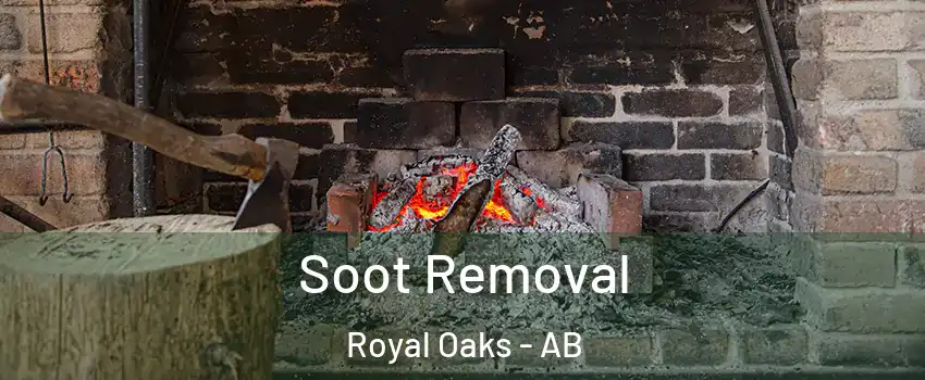  Soot Removal Royal Oaks - AB