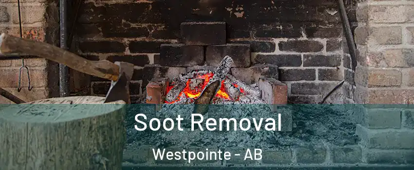  Soot Removal Westpointe - AB