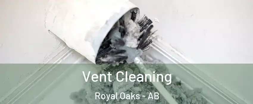  Vent Cleaning Royal Oaks - AB