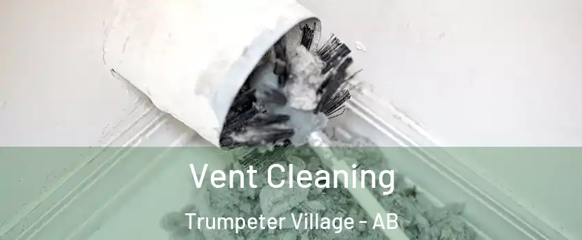  Vent Cleaning Trumpeter Village - AB
