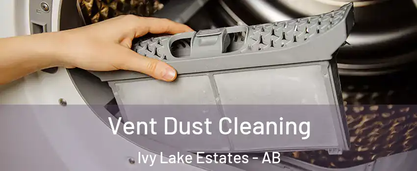  Vent Dust Cleaning Ivy Lake Estates - AB