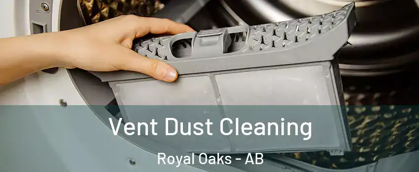  Vent Dust Cleaning Royal Oaks - AB