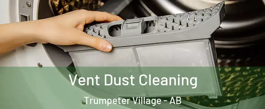  Vent Dust Cleaning Trumpeter Village - AB