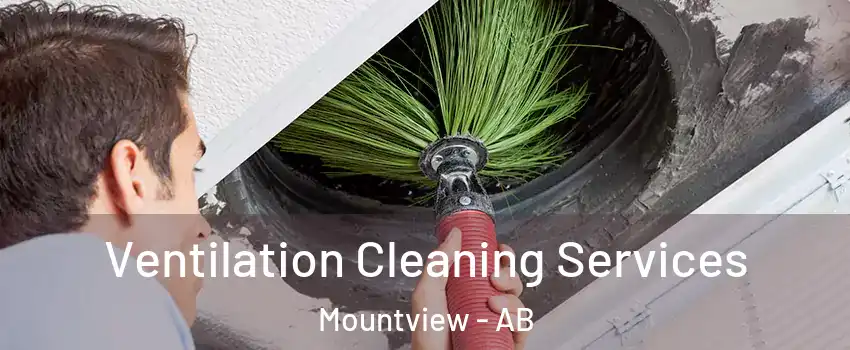  Ventilation Cleaning Services Mountview - AB