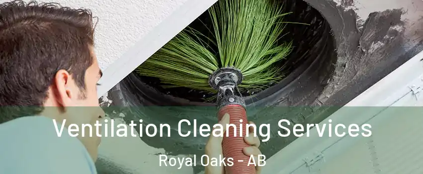  Ventilation Cleaning Services Royal Oaks - AB