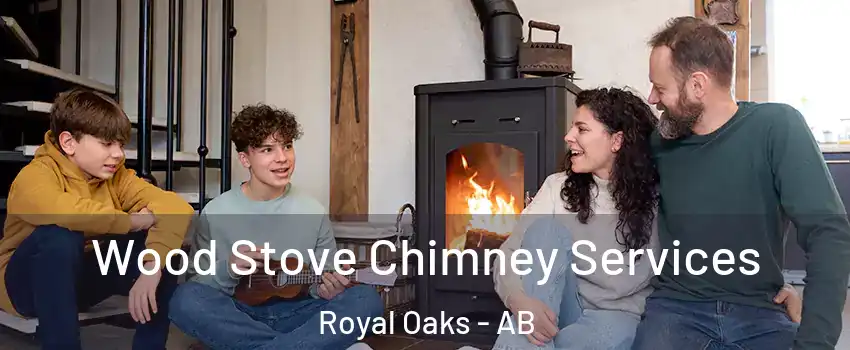  Wood Stove Chimney Services Royal Oaks - AB