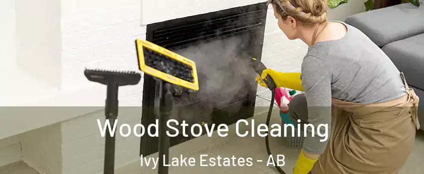  Wood Stove Cleaning Ivy Lake Estates - AB