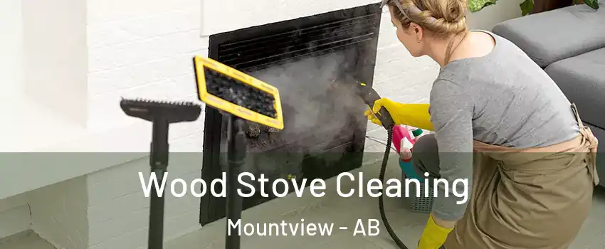 Wood Stove Cleaning Mountview - AB