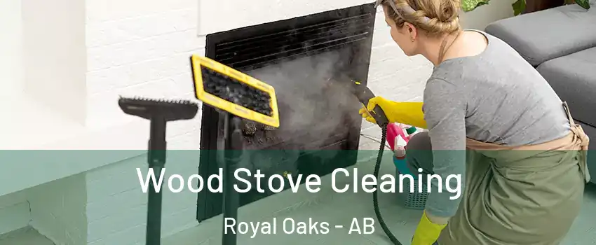  Wood Stove Cleaning Royal Oaks - AB