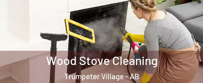  Wood Stove Cleaning Trumpeter Village - AB