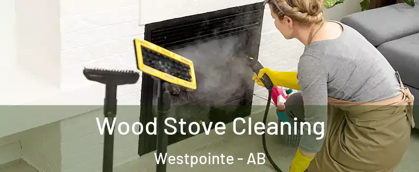  Wood Stove Cleaning Westpointe - AB