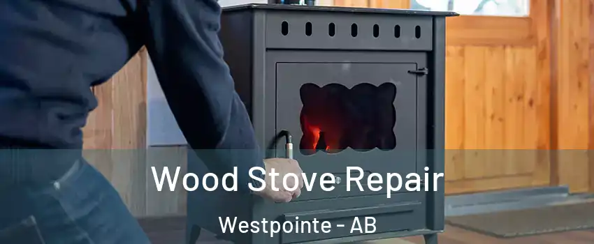  Wood Stove Repair Westpointe - AB